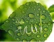Pada ayat manakah dalam al-Quran yang menyebutkan salat malam Rasulullah Saw?