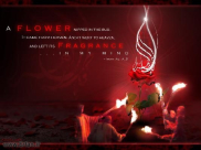 How did the holy prophet (PBUH &P) treat Hazrat Fatima Zahra (peace be upon her)