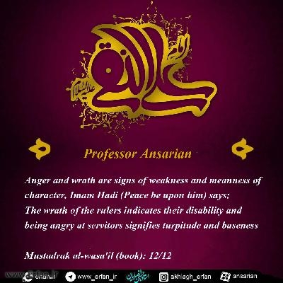 Professor Ansarian: Anger and wrath